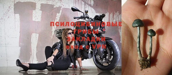 гидра Липки