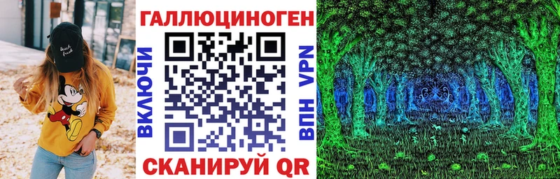где купить   Москва  Галлюциногенные грибы GOLDEN TEACHER 